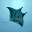 Avatar de l’usuari