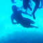 Avatar de l’usuari