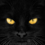 Avatar de l’usuari